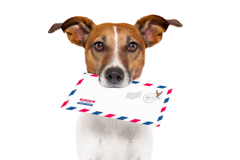 Mails Hund